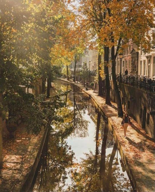 Apartmán Vlinder'S Utrecht Exteriér fotografie